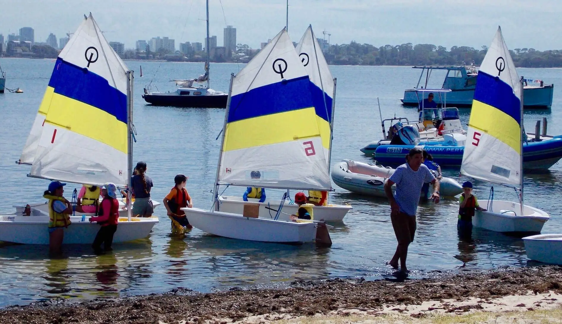 Optimist sails by iSails